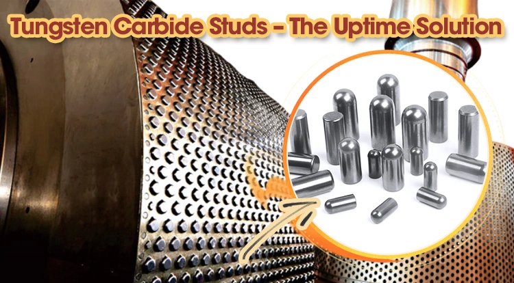 How an Iranian Industrial Group Reinvented Roller Press Performance with HAO CARBIDE